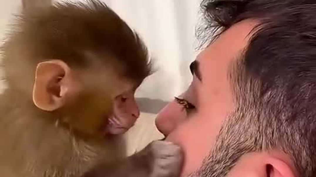 ⁣A man saved a monkey from the rain and decided to adopt it #shorts