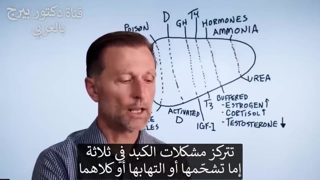 ⁣أفضل الأطعمة للكبد احرصوا على تناولها كل يوم